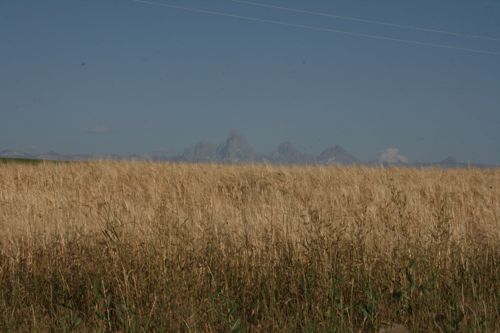IMG_9261