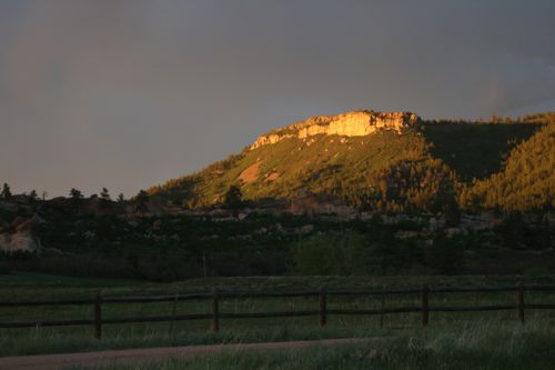IMG_0201